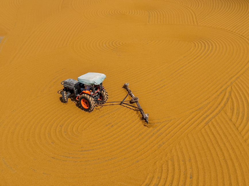 An aerial view of a field with orange, freshly tilled soil featuring evenly spaced, curved ridges. Positioned centrally is a small agricultural tractor with a grey canopy over the driver's seat, black engine components, and bright orange wheels. The tractor is attached to a long, slender implement that extends forward and downward, possibly used for tilling or soil preparation. The cultivated soil surrounds the machinery in the expansive field, with no other objects or vegetation visible. The texture of the soil appears smooth with consistent ridges, indicating recent cultivation activity. The scene is well-lit, with bright natural light highlighting the vivid orange soil and the machinery's details. This image subtly relates to the concept of clearing or preparing land, paralleling services in waste clearance that involve removal or site preparation, such as on-site rubbish removal or private waste handling. Waste Clearance Harrow's operations frequently involve similar machinery for site clearance, aligning with the themes of efficient land or debris management.